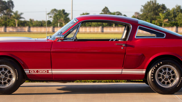 1966 Shelby GT350 Fastback