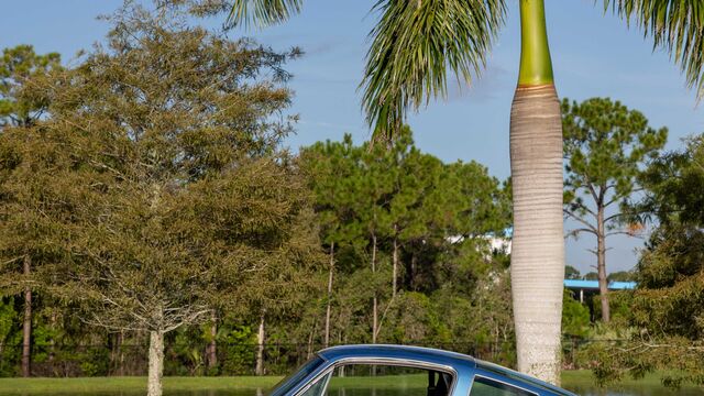 1967/2025 Revology Shelby GT350 Mustang 