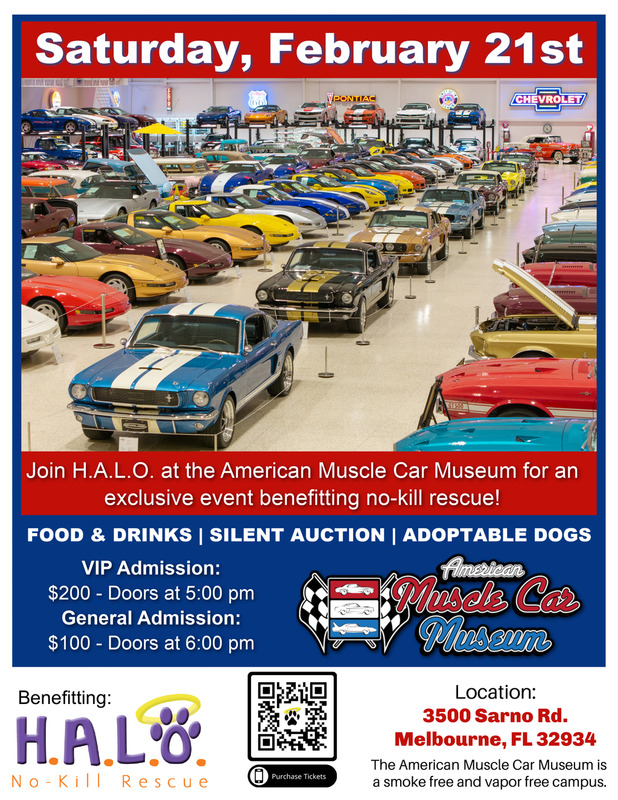 H.A.L.O Rescue Fundraiser Flyer