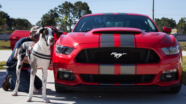 Brevard Public Schools Car Show