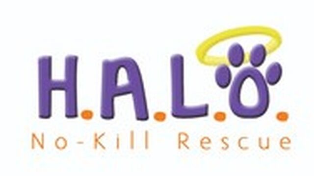 H.A.L.O Rescue Fundraiser