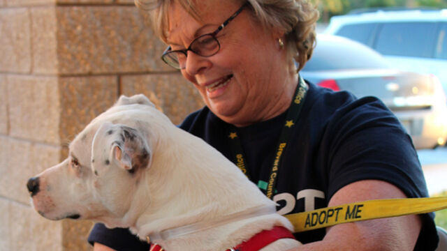 Sheriff's Pet Posse... Cars & Critters