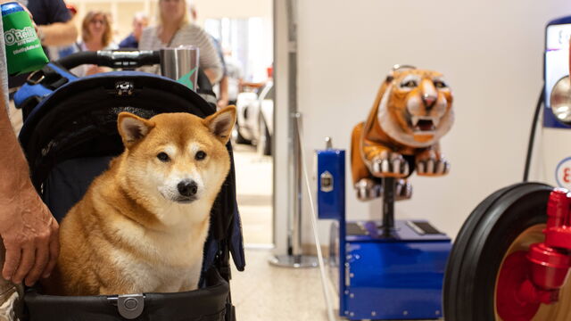 2021 Free Veterans Day Open House