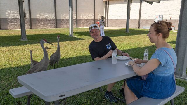 2024 Brevard Alzheimer's ALZ BBQ 