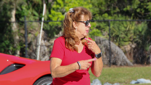 2024 British and European Car Show