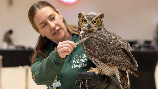 2024 NCRS Winter National