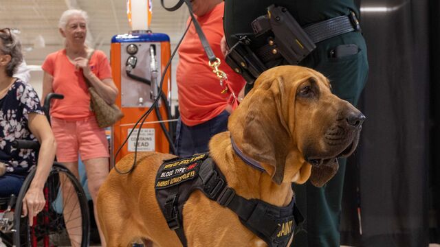 2025 Free Veterans Day Open House