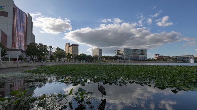 2025 Lake Mirror Concours 