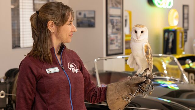 2025 NCRS Winter Regional