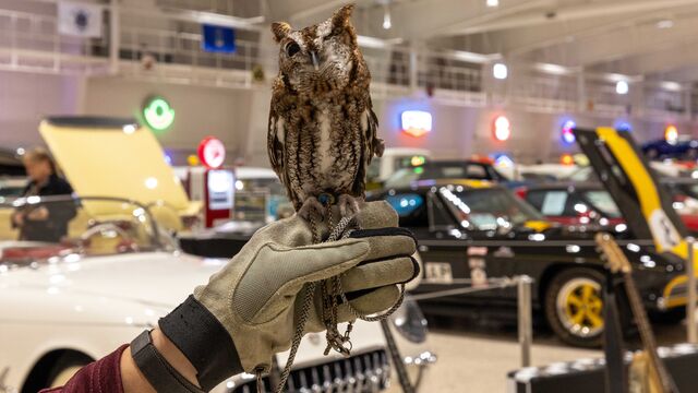 2025 NCRS Winter Regional