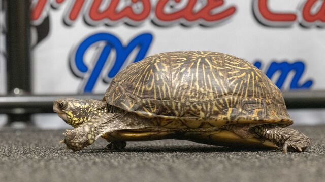 2025 NCRS Winter Regional