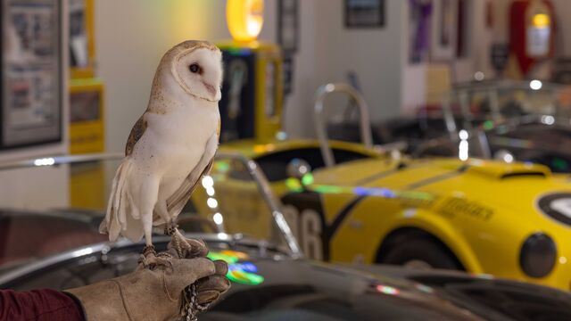 2025 NCRS Winter Regional