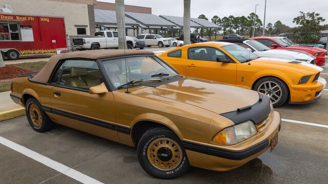 2025 Pre Rolex 24 Mustang Invitational