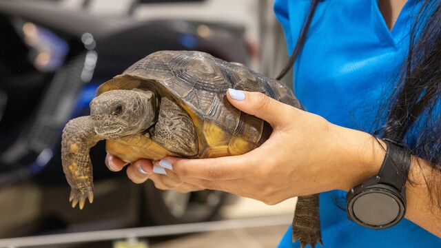 2026 NCRS Winter Regional