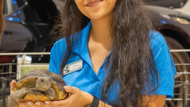 2026 NCRS Winter Regional