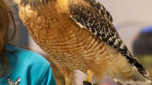 2026 NCRS Winter Regional