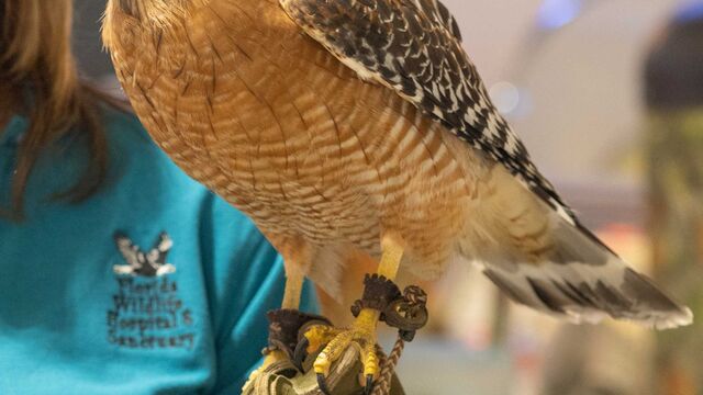 2026 NCRS Winter Regional