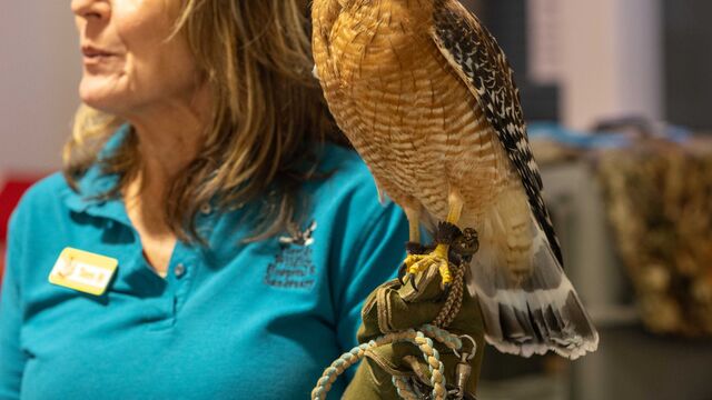 2026 NCRS Winter Regional