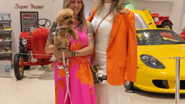 40th Anniversary Sea Turtle Preservation Society Fundraiser