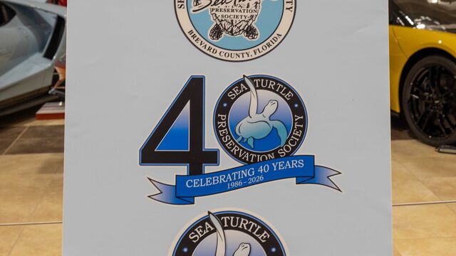 40th Anniversary Sea Turtle Preservation Society Fundraiser