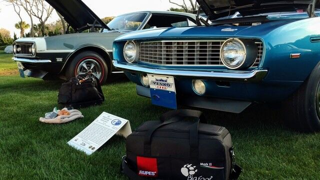 Amelia Island Concourse 03.10-11.17