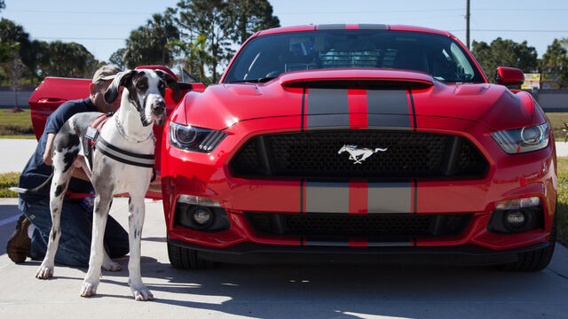 Brevard Public Schools Car Show