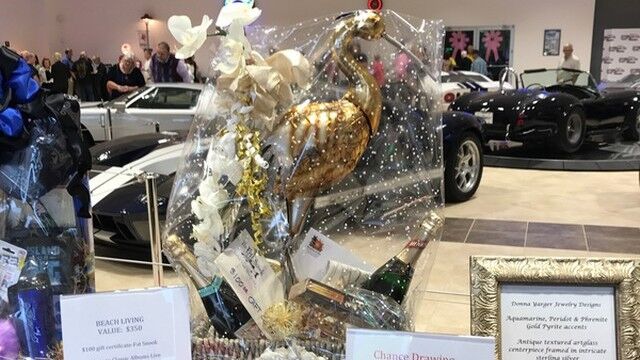 Brevard Symphony Youth Orchestra 03.05.17