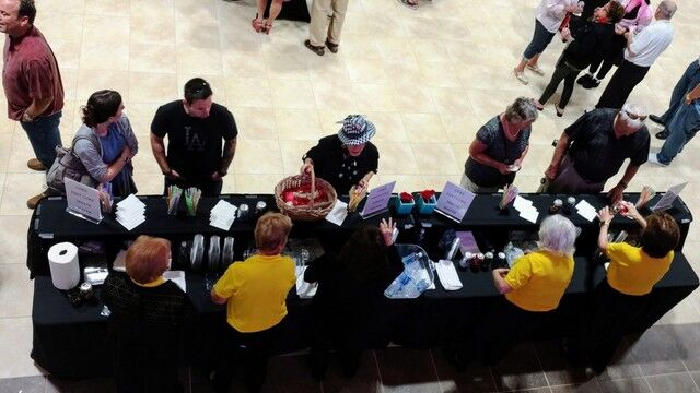 Brevard Symphony Youth Orchestra 03.05.17