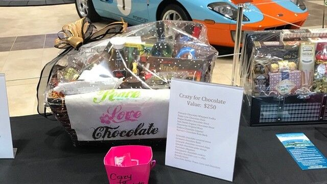 Brevard Symphony Youth Orchestra 03.05.17