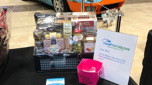 Brevard Symphony Youth Orchestra 03.05.17