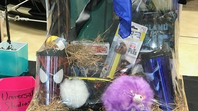 Brevard Symphony Youth Orchestra 03.05.17