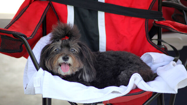 Cape Kennedy Corvette Club 05.20.17