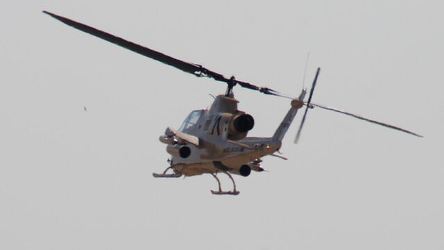 Car vs. Cobra 03.10.17