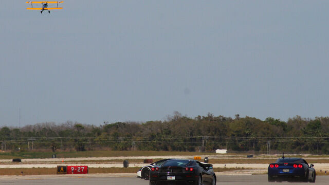 Car vs. Cobra 03.10.17