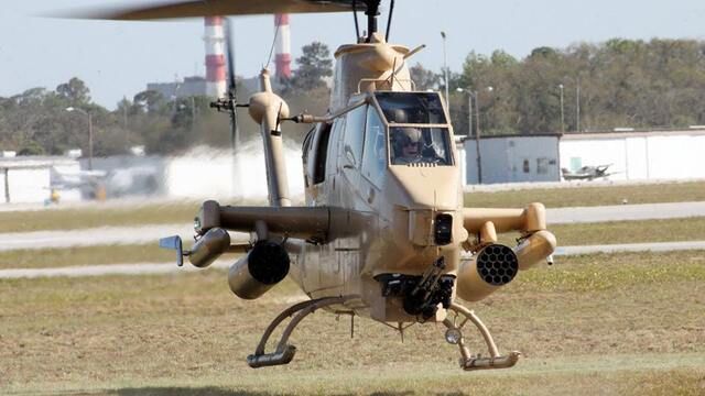 Car vs. Cobra 03.10.17