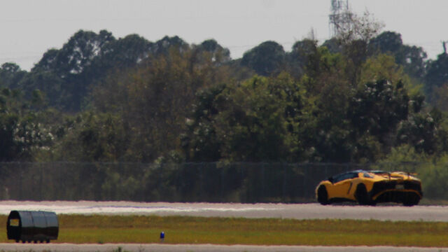 Car vs. Cobra 03.10.17