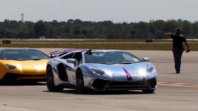 Car vs. Cobra 03.10.17