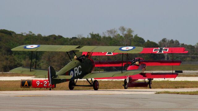Car vs. Cobra 03.10.17