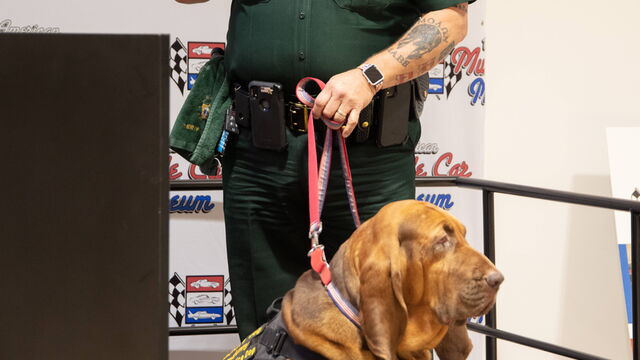 Cars 4 Kids 2 - Children's Advocacy Center of Brevard