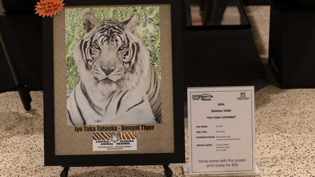 Central Florida Animal Reserve Fundraiser 