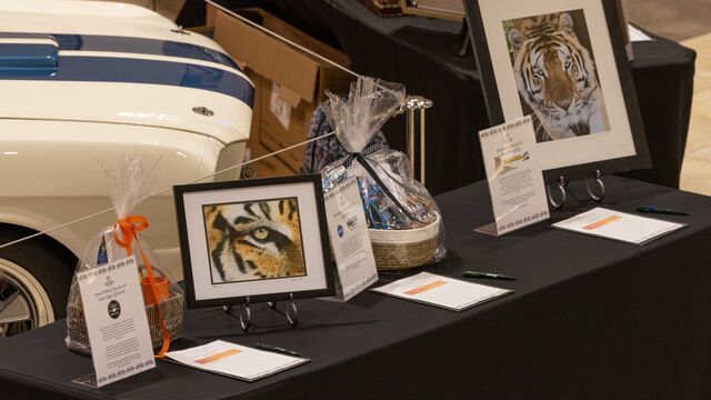 Central Florida Animal Reserve Fundraiser 