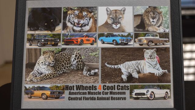 Central Florida Animal Reserve Fundraiser 
