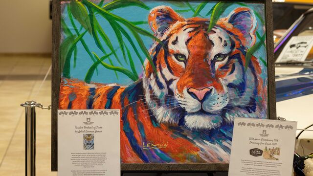 Central Florida Animal Reserve Fundraiser 