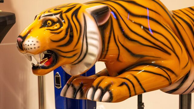 Central Florida Animal Reserve Fundraiser 