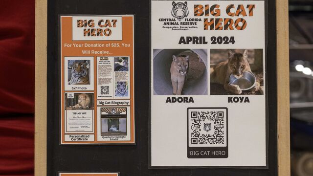 Central Florida Animal Reserve Fundraiser 