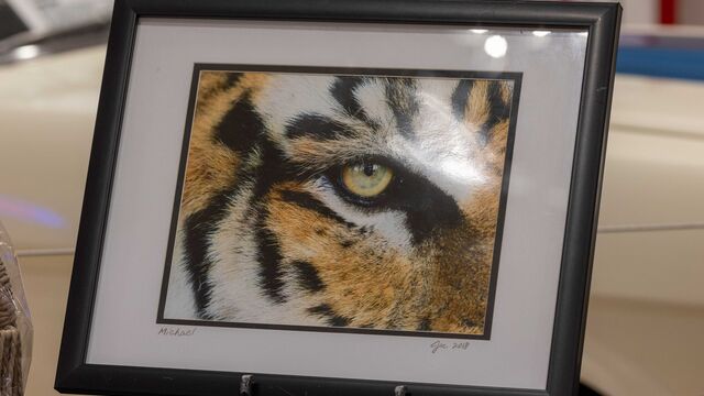 Central Florida Animal Reserve Fundraiser 