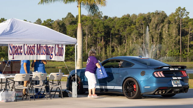 Ford Mustang and Ford Powered Show