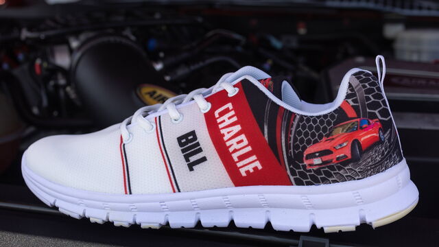 Ford Mustang and Ford Powered Show