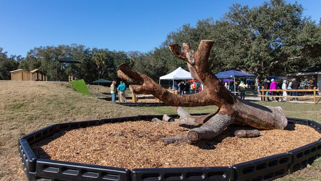 Woodbridge Park Grand Opening