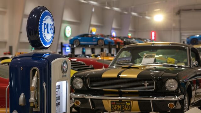 H.A.L.O No Kill Pet Shelter Fundraiser